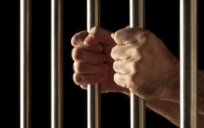 Legal Developments in Goliad County, Texas: A 2025 Overview